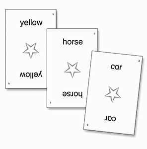 Edmark Reading Program: Level 1 - Second Edition, Word Cards